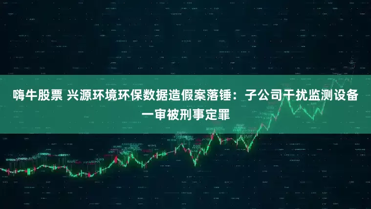 嗨牛股票 兴源环境环保数据造假案落锤：子公司干扰监测设备一审被刑事定罪